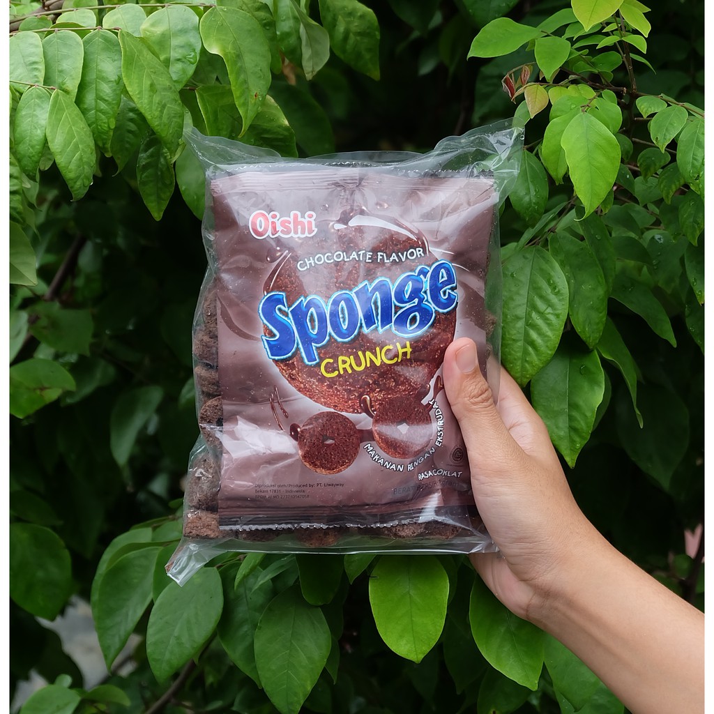 

SPONGE COKLAT