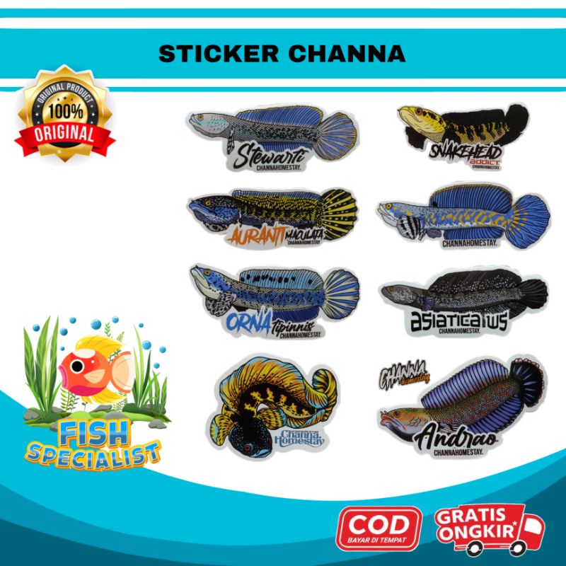 STICKERPACK CHANNAHOMESTAY Snakehead Addict Andrao Pulchra Stewartii Asiatica WS Auranti Maru Ornati