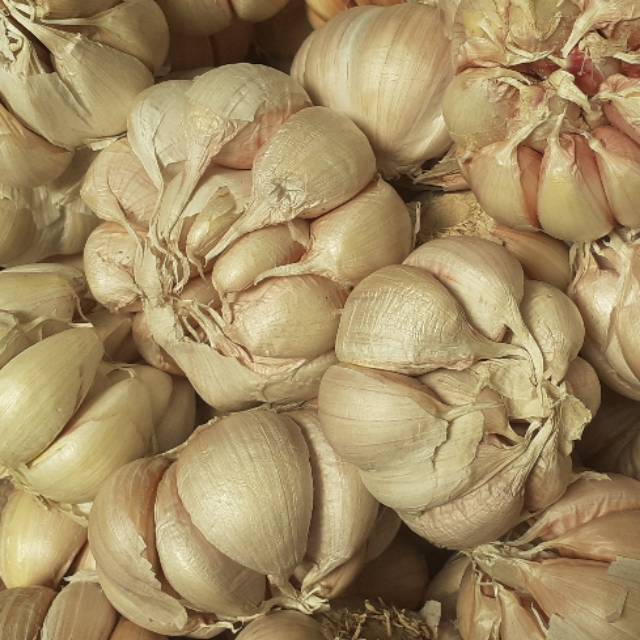 

BAWANG PUTIH BANCI 1KG,500Gr,250Gr.