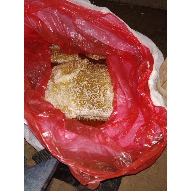 

MADU MURNI HUTAN ASLI 100%