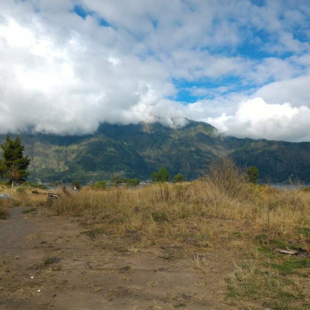 candra3388