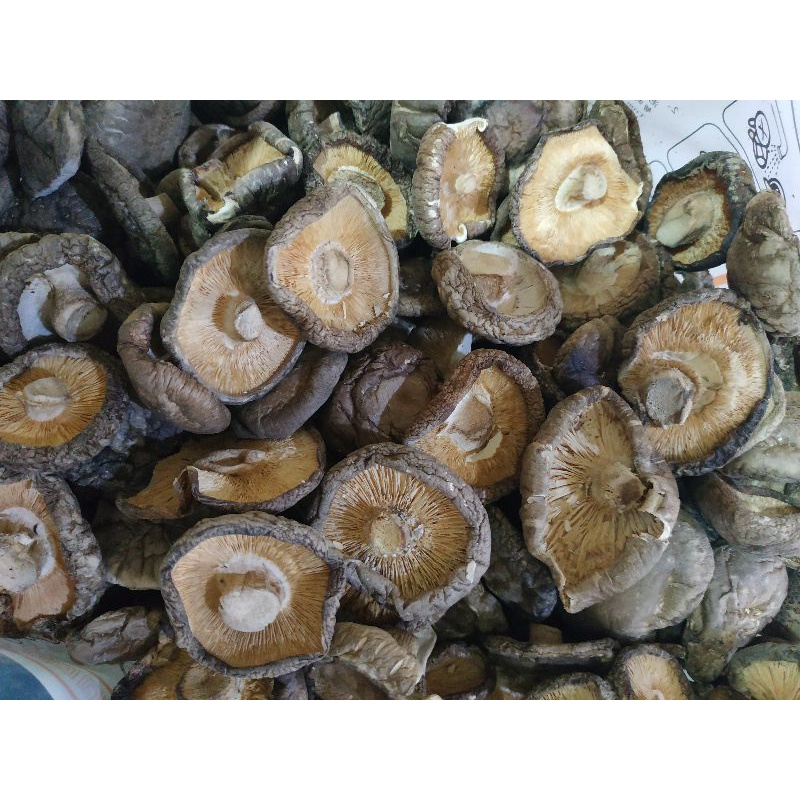 

JAMUR HIOKO SHITAKE 100 gram