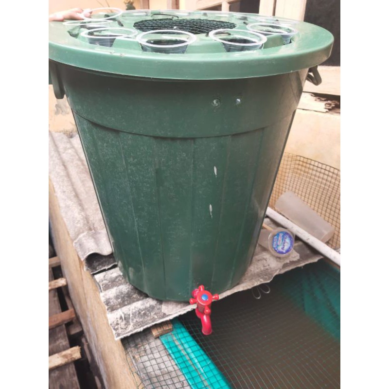 ember plastik 80 liter ember budidaya ikan lele budikdamber
