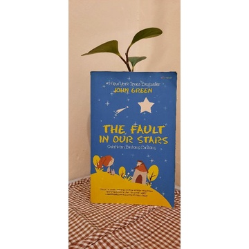 the fault in our stars
