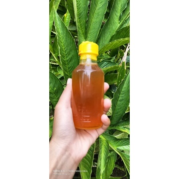 

MADUMURNI MADUHUTAN MADUASLI MADUAPISDORSATA