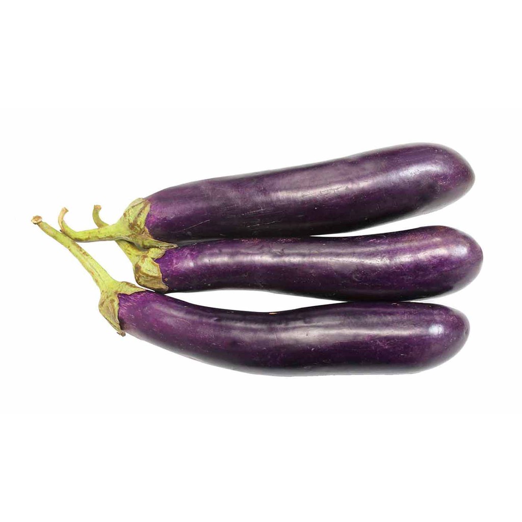 Terong Ungu Segar 500g - 1Kg | Fresh Eggplant 500g - 1Kg