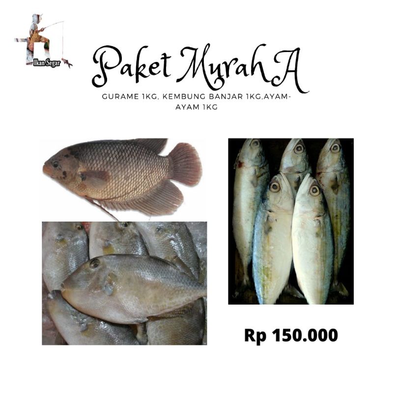 

IKAN SEGAR DAPAT 3KG