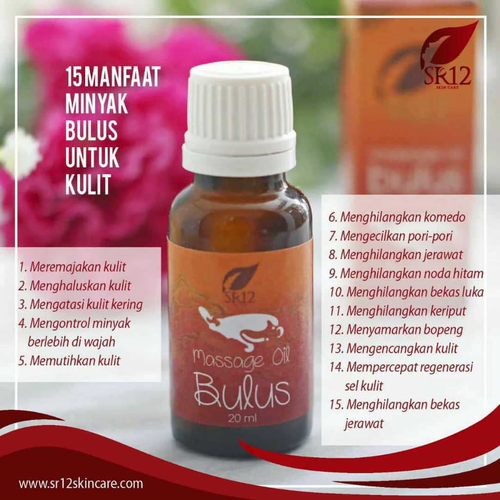 SR12 / MINYAK BULUS ORIGINAL / MASSAGE OIL BULUS SR12 / FACIAL WASH BULUS / SABUN BULUS / TRIO BULUS