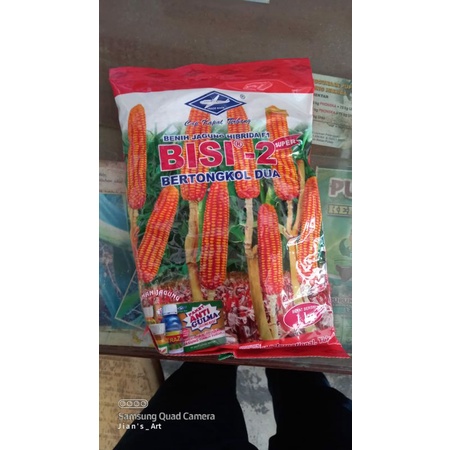 Benih Jagung Bisi-2 Original