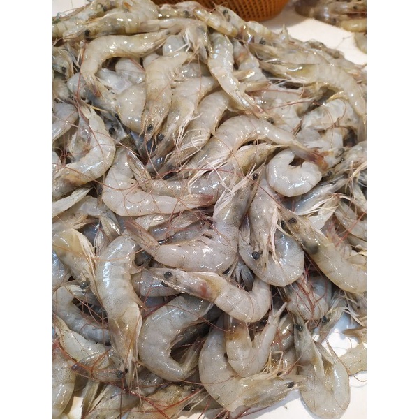 

Udang Peci / Vanam Size sedang 500gr