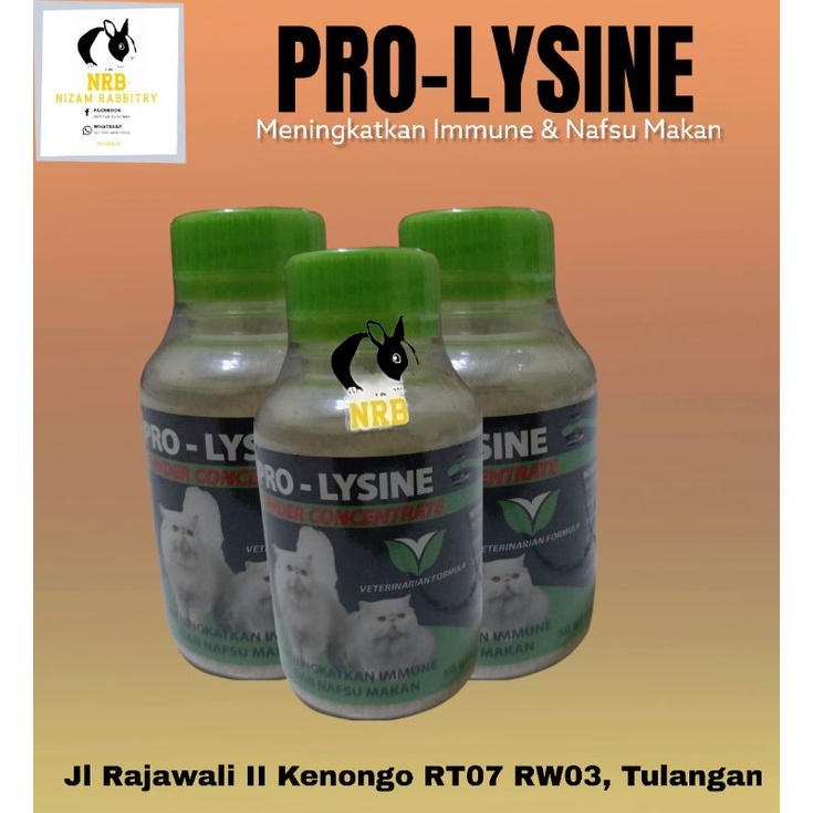 PRO-LYSINE 50gr - MENINGKATKAN IMUN &amp;NAFSU MAKAN KUCING