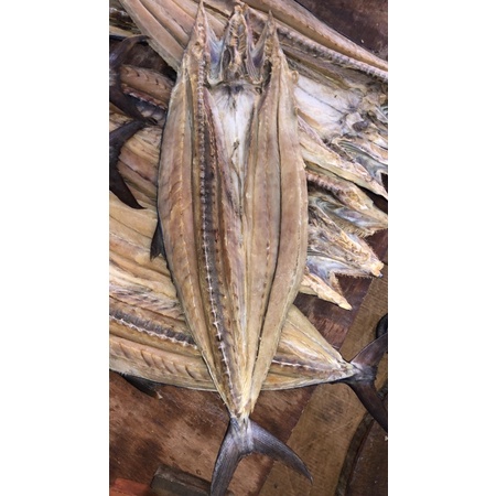 

tenggiri per ekor berat 1,15 kg