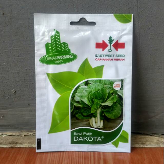 Benih Biji Sawi Putih DAKOTA Panah Merah
