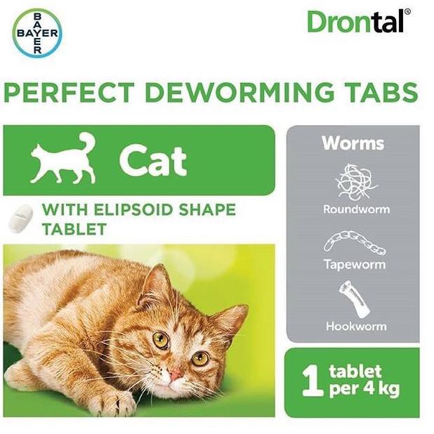 Ready Drontal Asli Obat Infeksi Cacing 1 Tablet Pada Kucing Shopee Indonesia