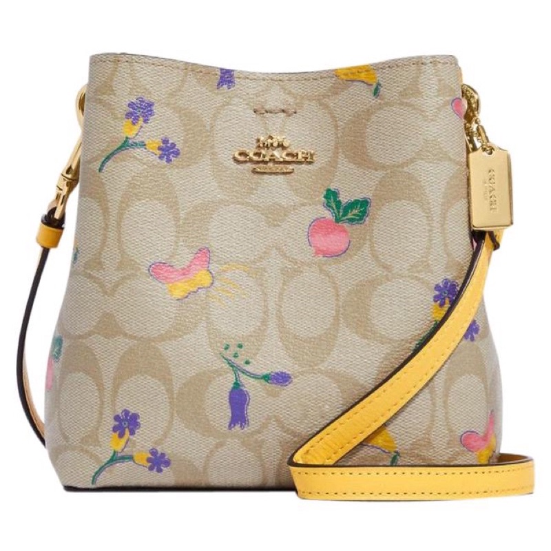 Coach Mini Town Bucket Bag With Dreamy Vegie Print (C8255)