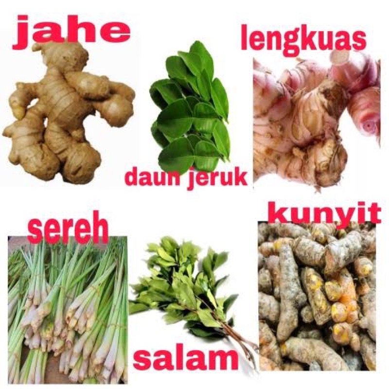 

BUMBU DAPUR / REMPAH