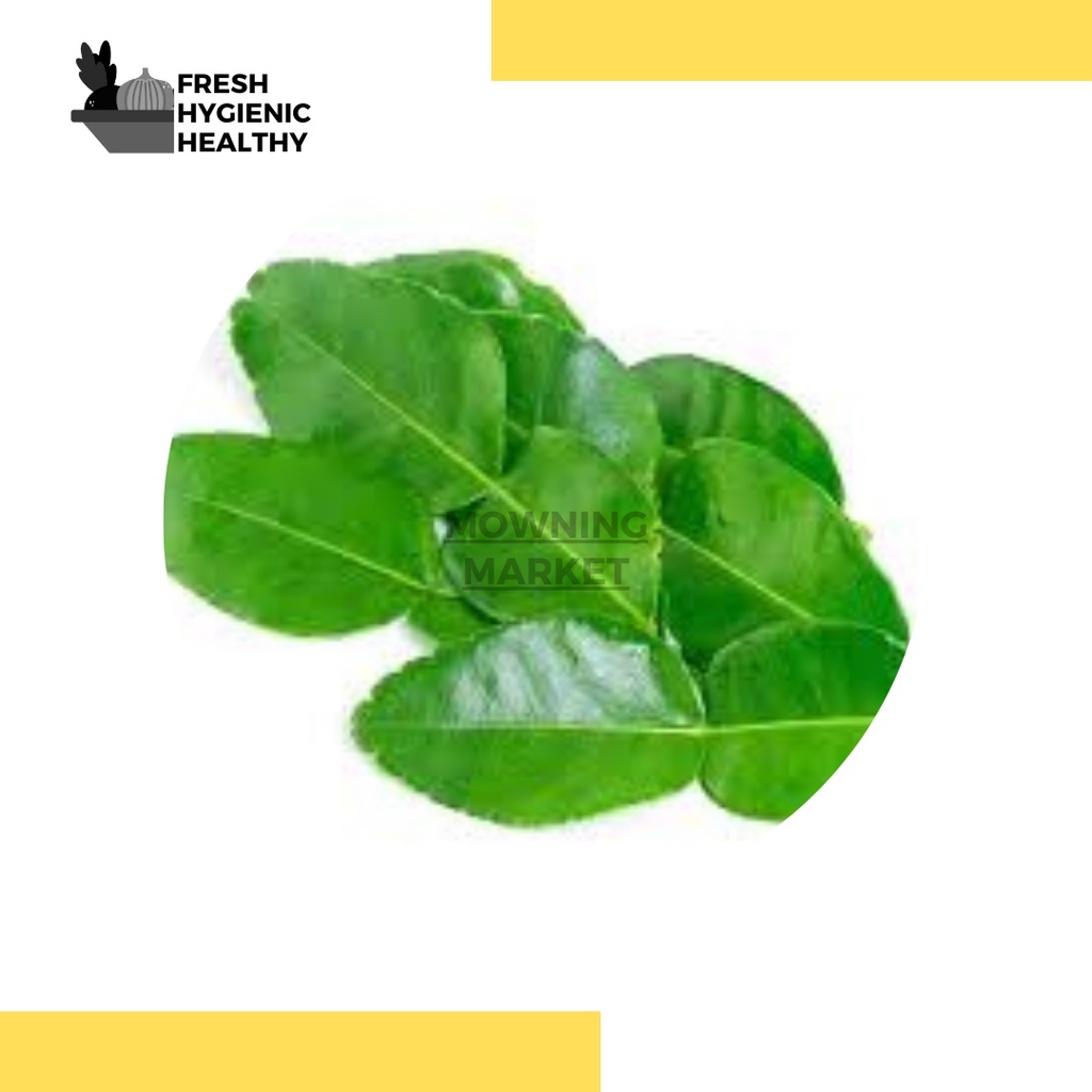 

DAUN JERUK