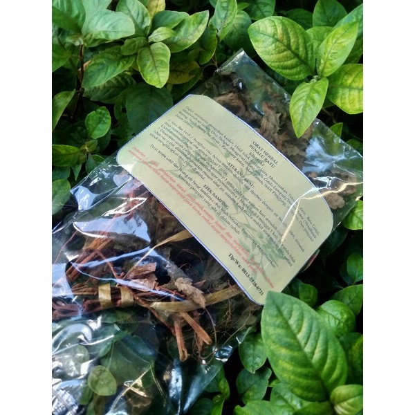 Obat herbal benalu batu/ 100% Asli Sulawesi Tengah