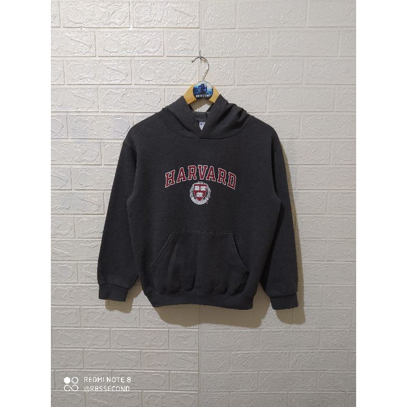 Hoodie champion harvard