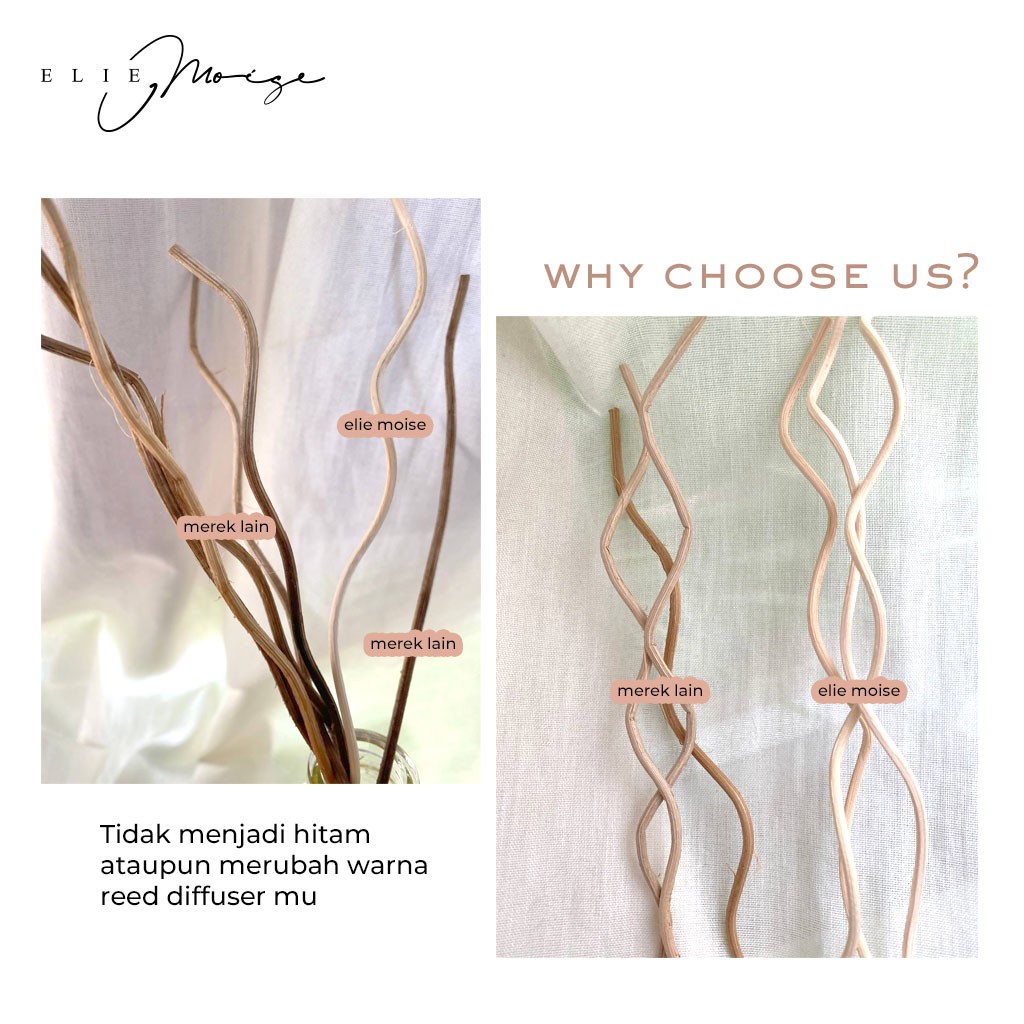 Elie Moise Wavy Natural Rattan Stick - Stik Rotan Alami Reed Diffuser-1