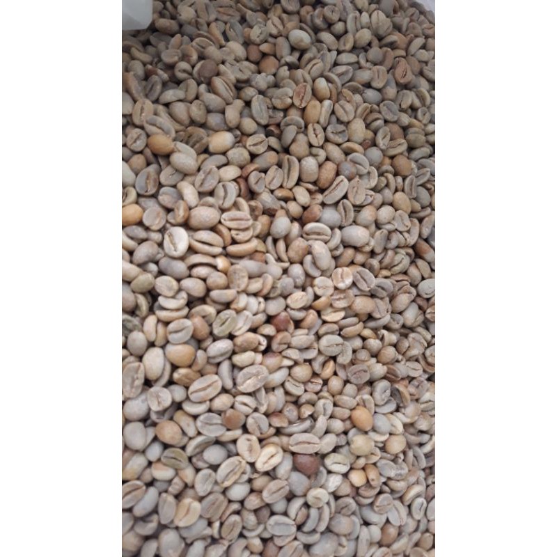 

Natural Process, Flores Juria 500 Gram. Specialty Grade. Fresh Crop 2023.