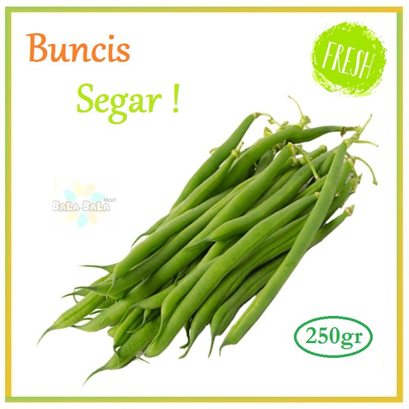 

BUNCIS FRESH / SAYUR SEGAR