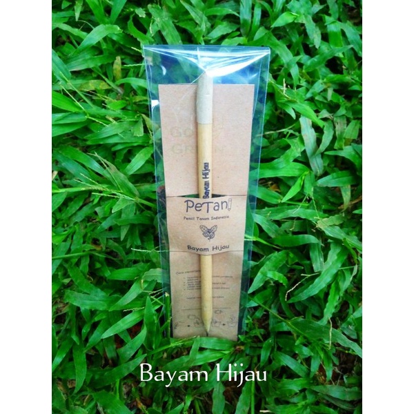 

Pensil benih Bayam Hijau / Pensil benih /Pensil Tanam Indonesia /pensil bibit /pensil ajaib / pensil unik / pensil tumbuhan / pensil kayu / pensil bulat polos