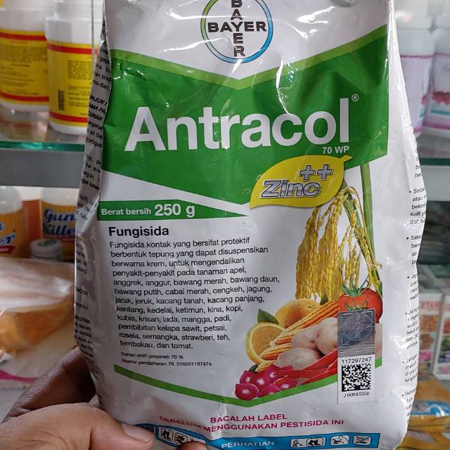 Fungisida Antracol 70WP 250 gram