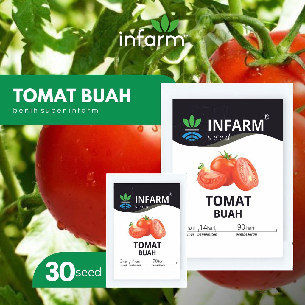 Jual INFARM - Benih Bibit Biji Super Tomat Buah | Shopee Indonesia