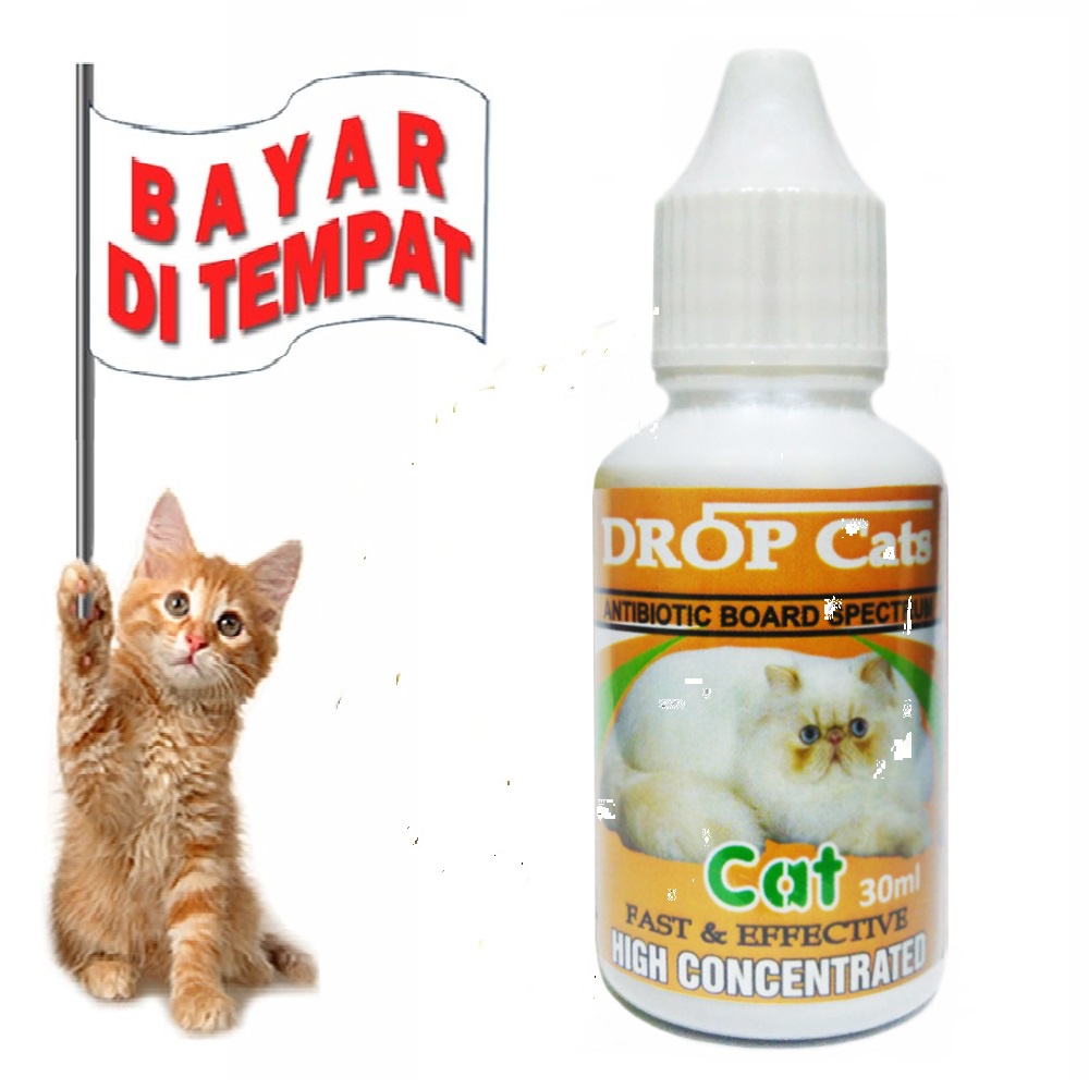 TERLARIS OBAT ANTIBIOTIK KUCING SAKIT DEMAM FLU PILEK AMPUH TERMURAH DROP CAT