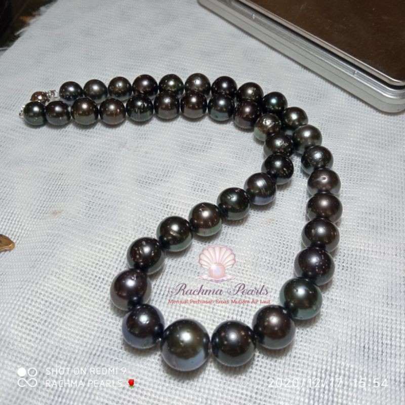Kalung full mutiara kalung mutiara air laut asli original lombok grade B warna hitam terbaru