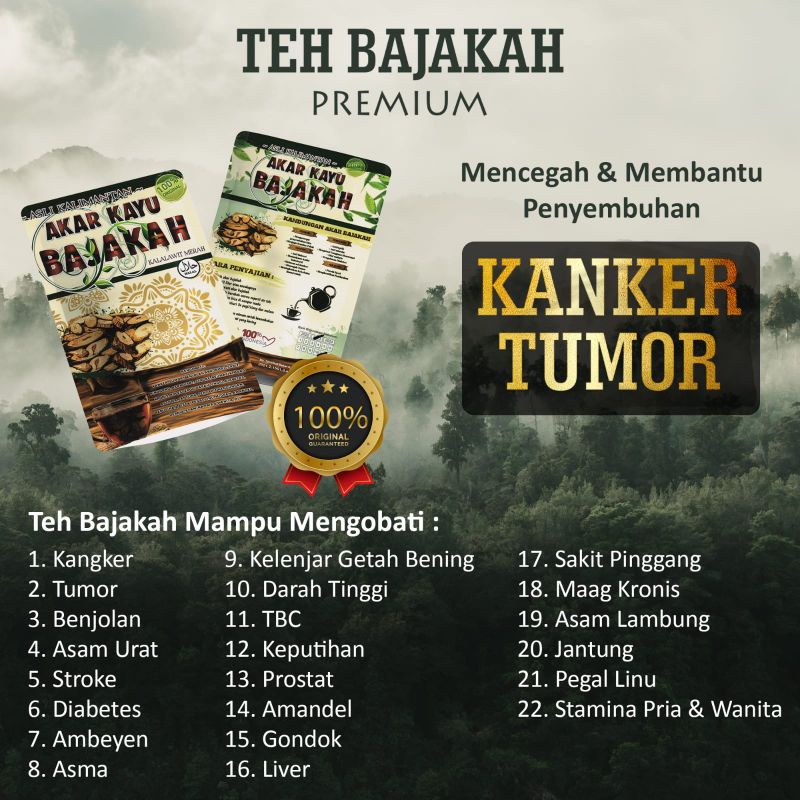 

Akar bajakah asli kalimantan merah / bajakah tampala / teh bajakah asli kalimamtan