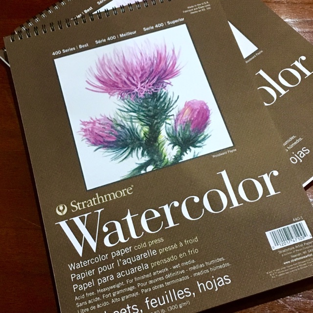 Jual Strathmore Watercolor 400 Series Paper 9X12” Indonesia|Shopee Indonesia