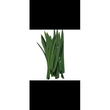 

daun pandan wangi