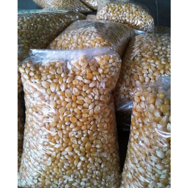 

jagung Popcorn 1/5 kg