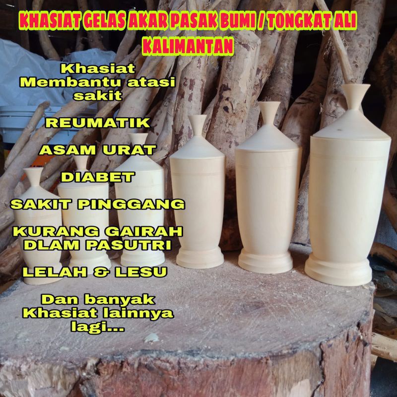 Gelas Akar Pasak Bumi-Akar Pasak Bumi Kalimantan -Akar pasak bumi super Nomer 6