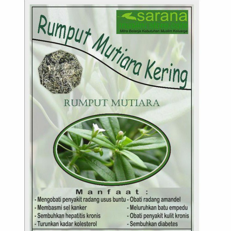 

Rumput Mutiara Kering 500gr Asli Banyak Manfaat