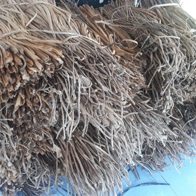 ✨ 1kg batang eceng gondok/bahan placemat enceng rawa/ECENG GONDOK KERING/bahan anyaman kerajinan,D.I