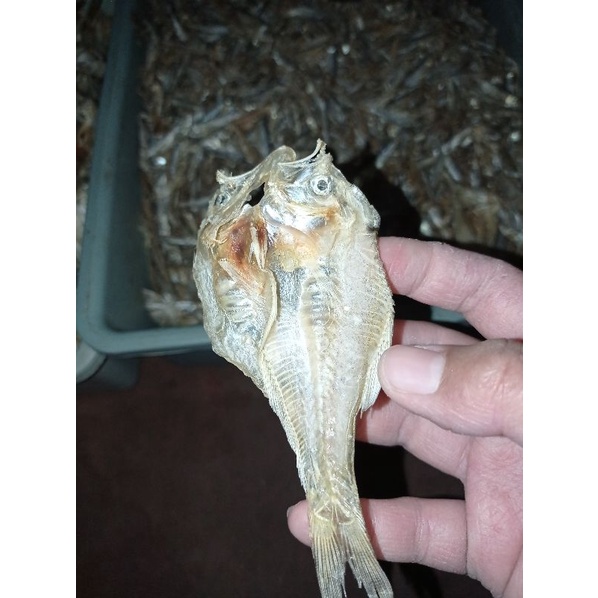 

ikan asin putri ayu