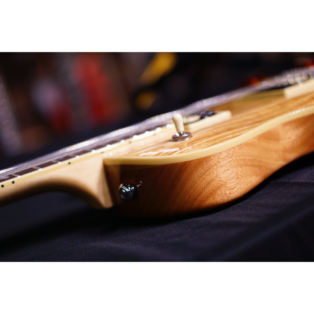 PRS SE Exotic Zebra wood Tremonti