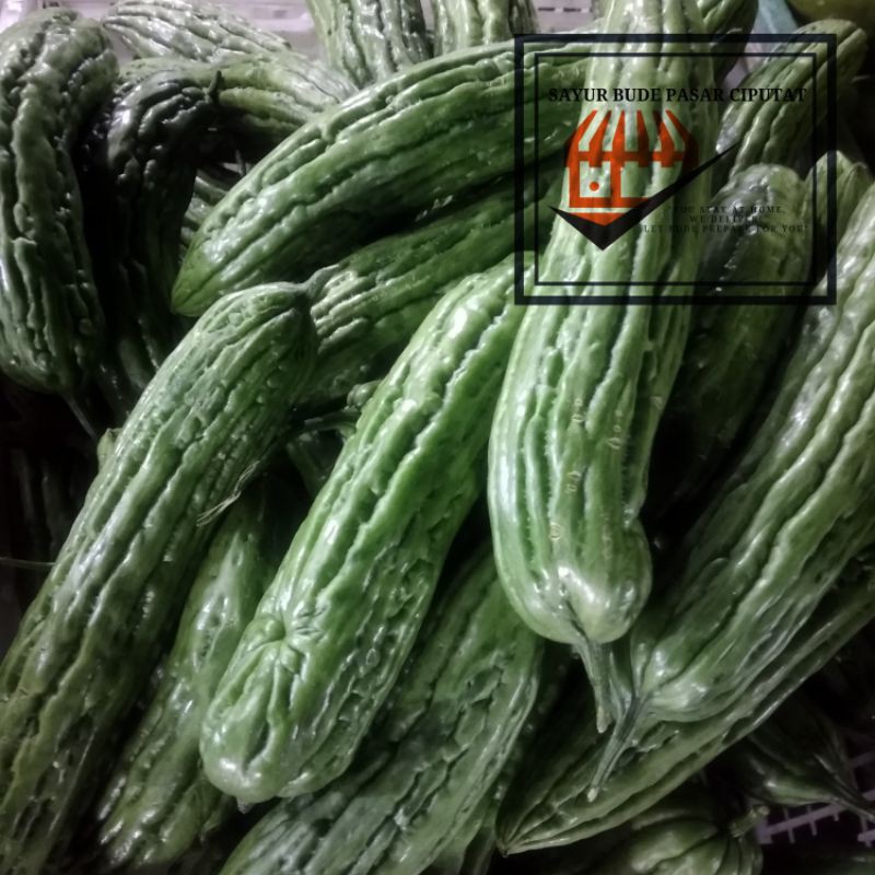 

Pare 500 gram