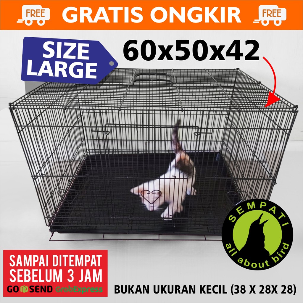 SANGKAR KUCING KANDANG KUCING LARGE JUMBO BESI IMPORT ...