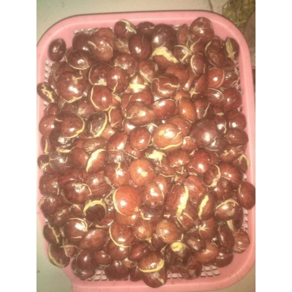 

jengkol
