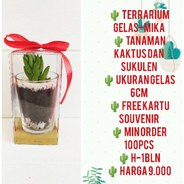 SOUVENIR TERARIUM KAKTUS SUKULEN