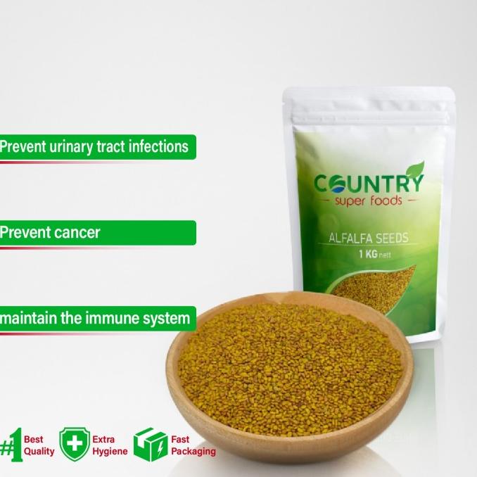 

Alfalfa Seeds - 1 Kg - Biji Alfalfa