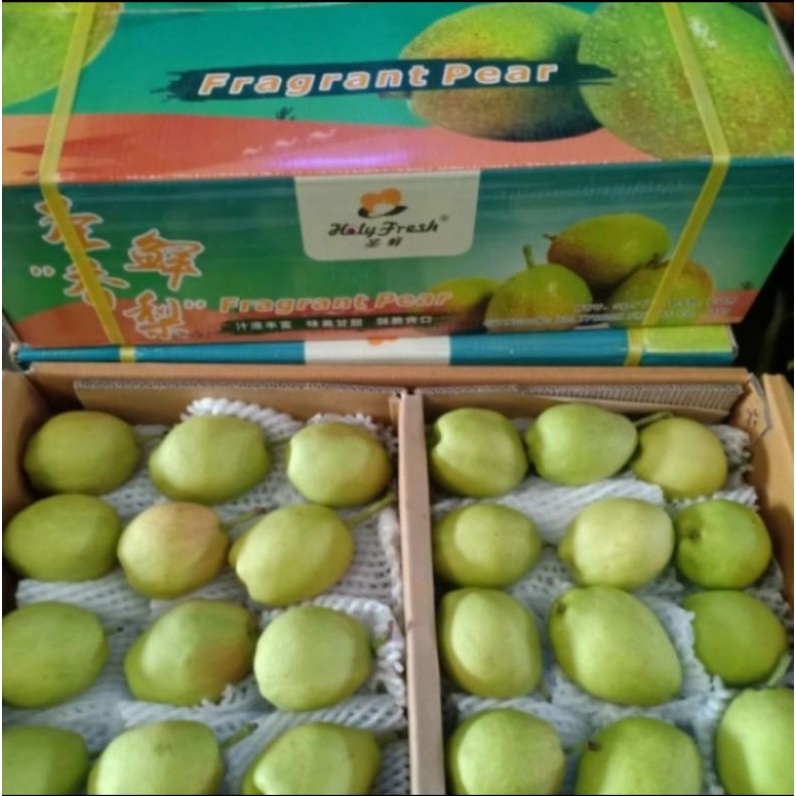 

Buah Pear Xianglie Manis Fresh Import / 1 Dus