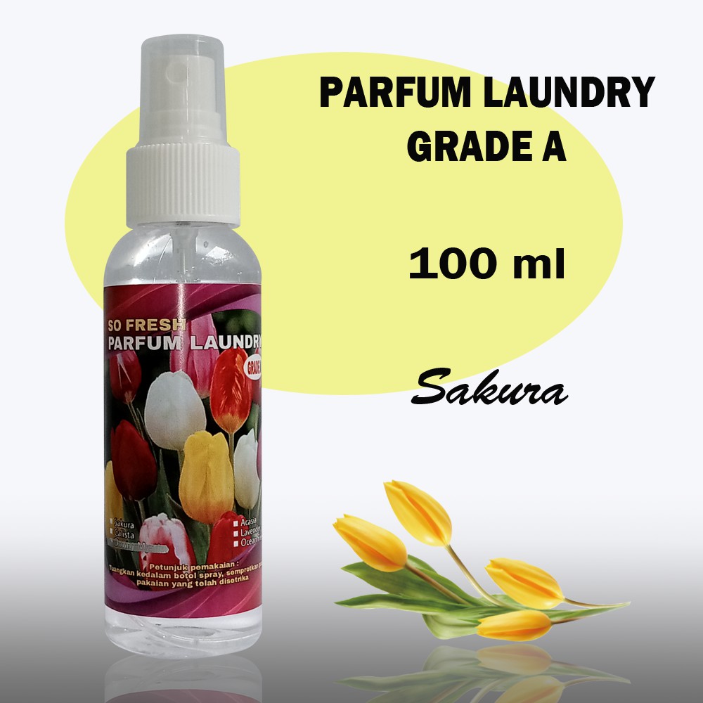 PARFUM LAUNDRY 100 ML