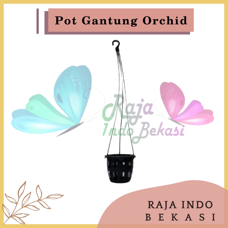 Rajaindobekasi Pot Gantung Anggrek Orchid 10cm Hitam Pot Gantung Anggrek 10 Cm Bkn Pot Anggrek Gantung NKT Putih 14