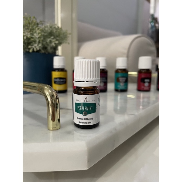 PEPPERMINT ESSENTIAL OIL PLUS YoungLiving SINGAPORE @5ml