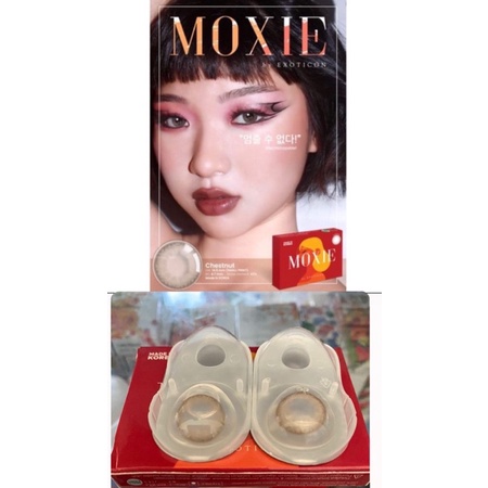 MOXIE CHEESNUT